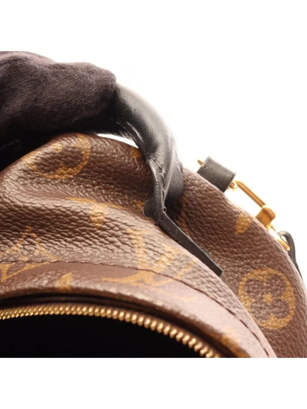 Louis Vuitton Backpack Palm Springs Mini Canvas Leather